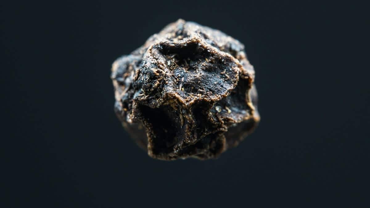 Global Scientists Study 1.27-Billion-Year-Old Algerian Meteorite