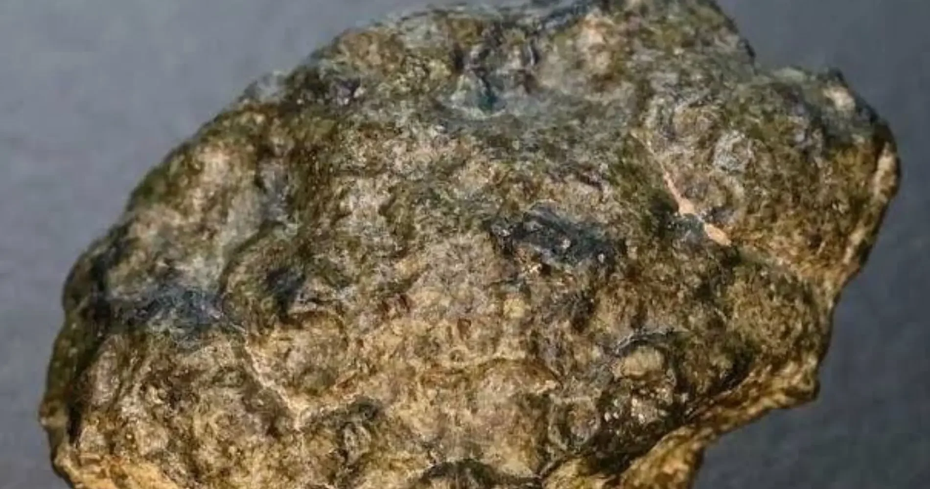 Martian Meteorite Found in Algeria Dates Early Red Planet Era