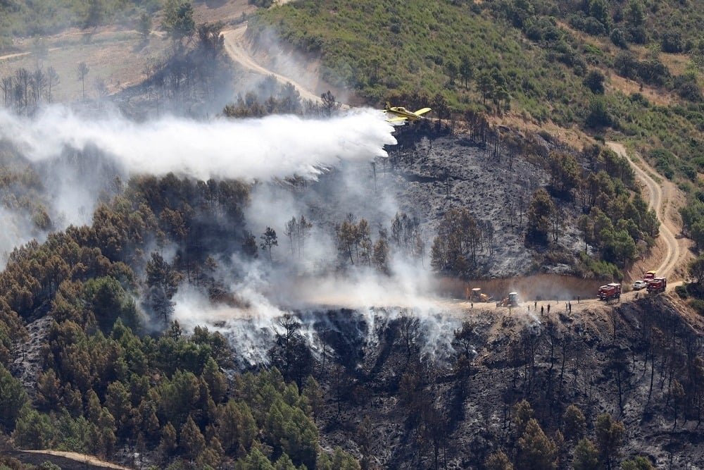 Aircraft Acquisition Enhances Algerian Forest Fire Response