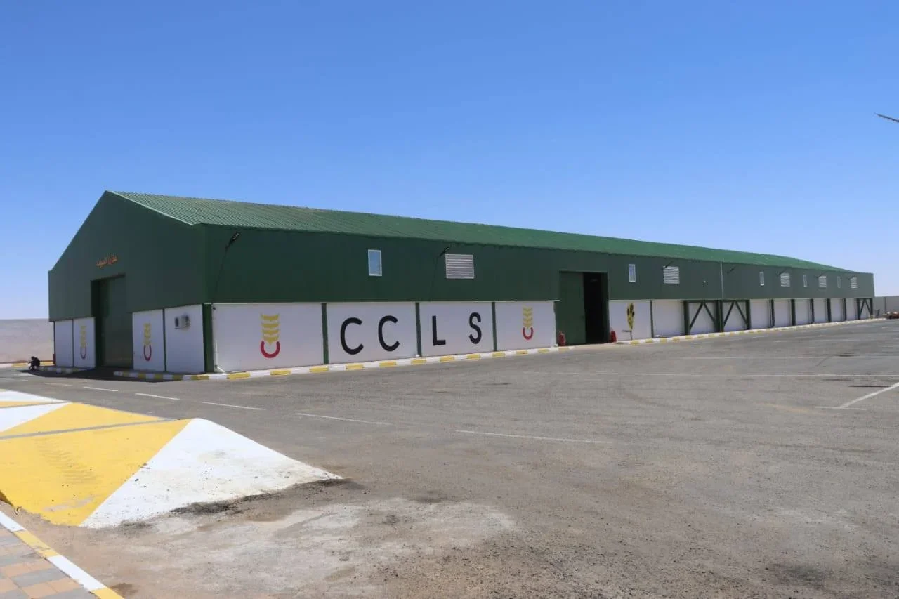 Algeria Extends Cereal Collection, Advances 2026/2027 Agricultural Preparations