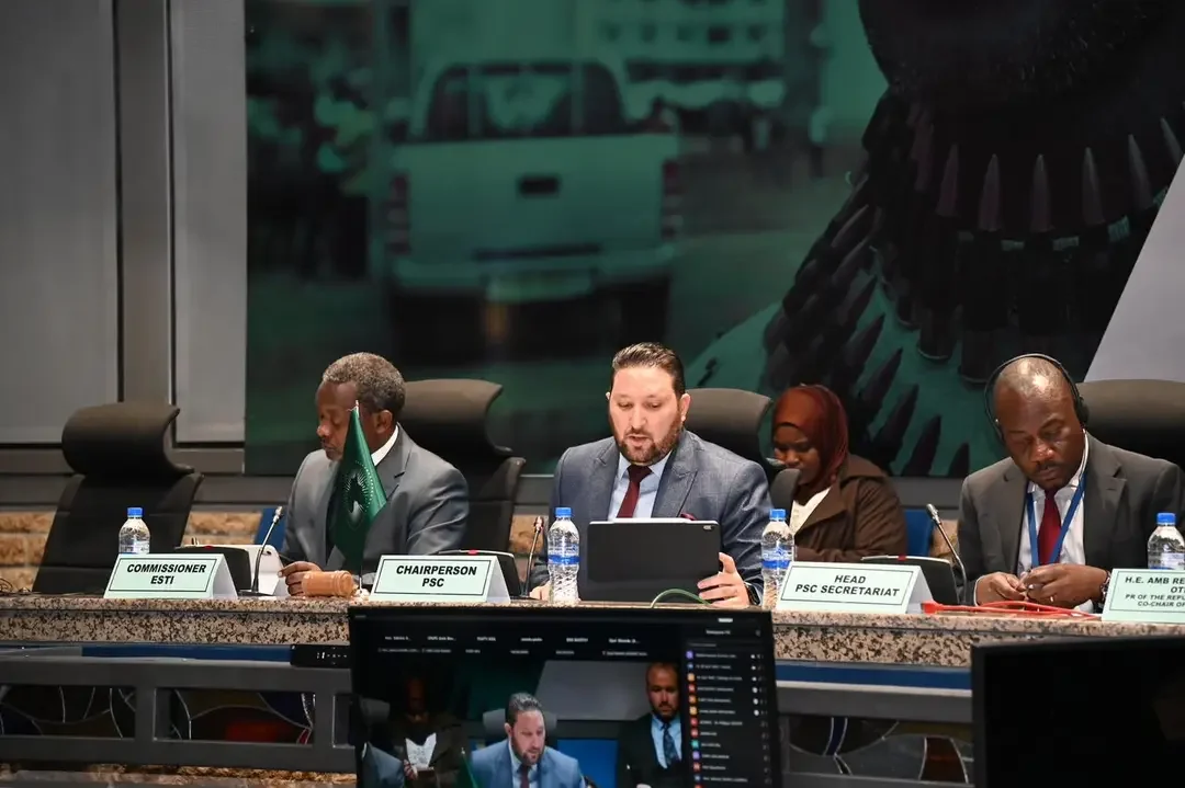 Algeria Guides AU Peace Council in Review of "Silencing the Guns" Initiative