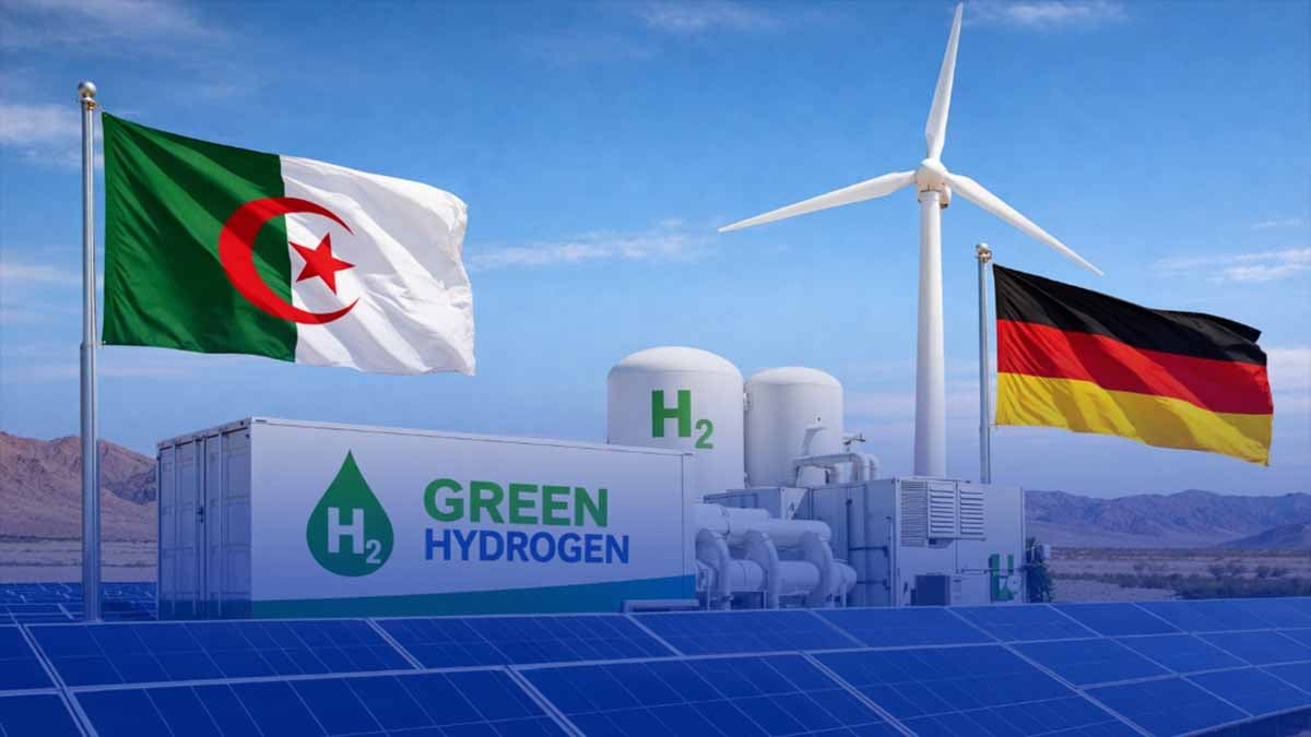 German Delegation Arrives for Green Hydrogen Project Exploration