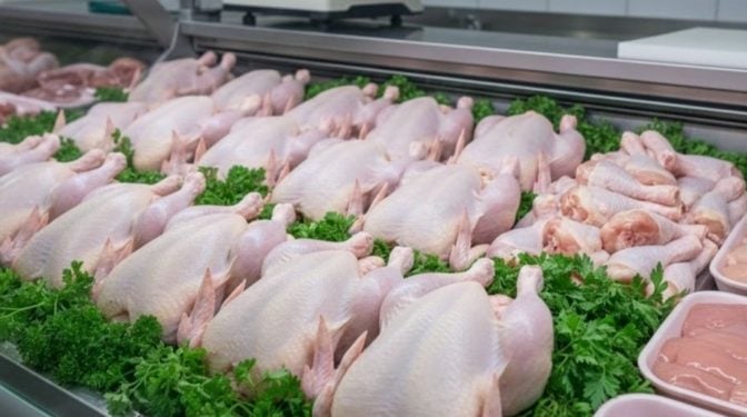 ONAB Confirms Continued Frozen Chicken Sales at 350 DA/kg