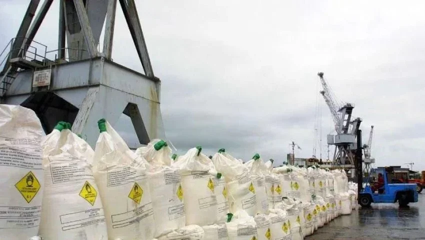 245,000 Tons of Urea Shipped from Algeria to India