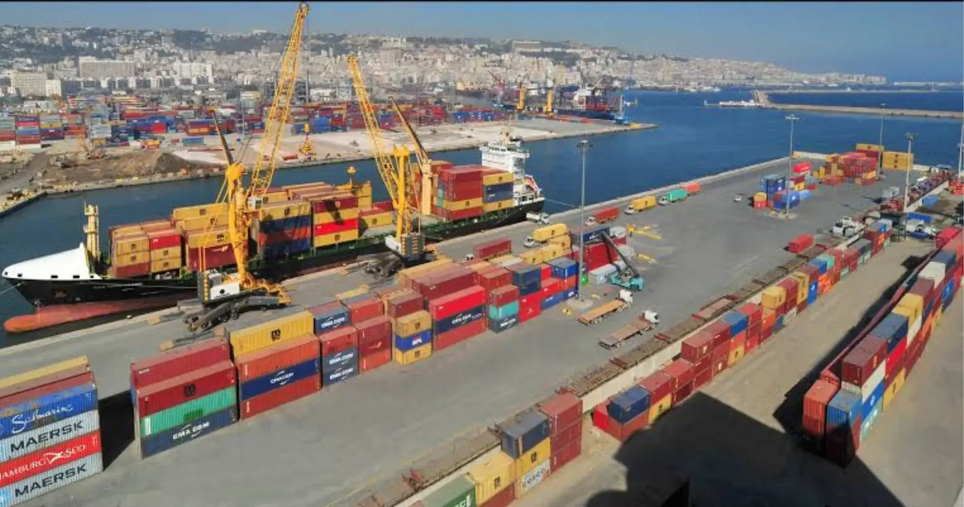 Digital Platform Reopens for Ten-Day Importer Regularization