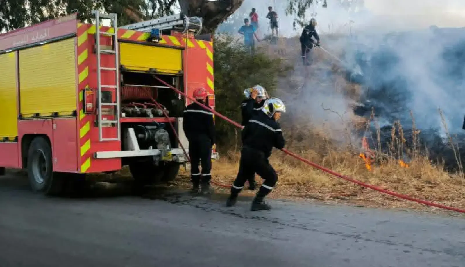 Civil Protection Extinguishes 26 Vegetation Fires in 24 Hours