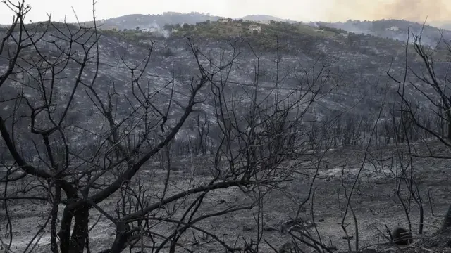 Public Authorities Allocate 6 Billion Centimes to Fire-Affected Families