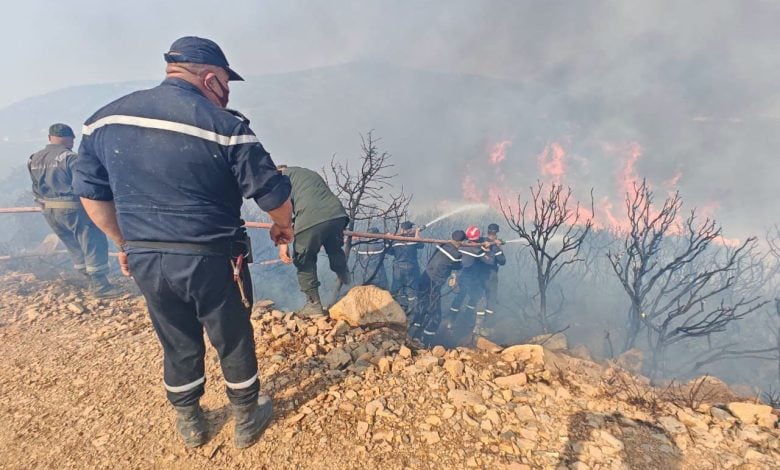 Victims of Forest Fires to Receive State Aid Decisions