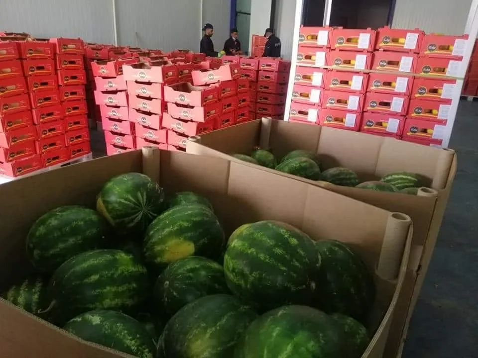 Global Fruit Leader Algeria Prioritizes Export Expansion