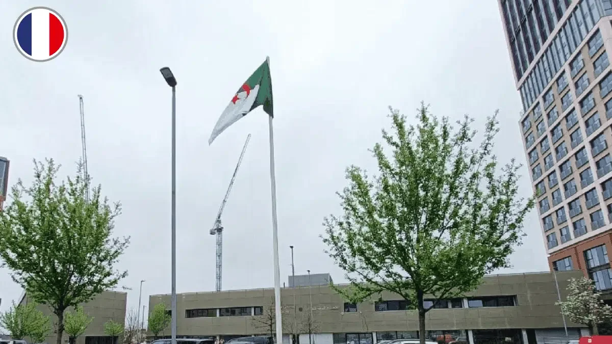 New QR Code Connects Algerians Abroad to State Officials