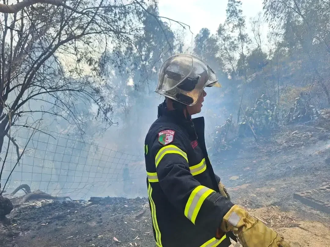Civil Protection Extinguishes 110 Wildfires in 24 Hours