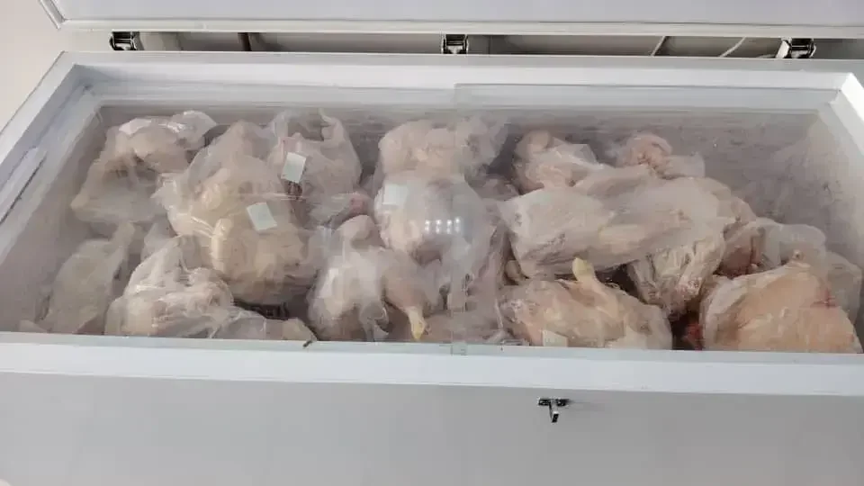 National Office Supplies Affordable Chicken to Citizens