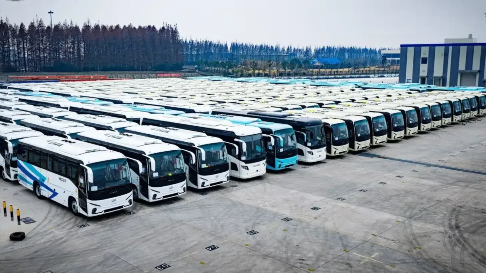 BEA, BADR, BNA Support National Public Transport Fleet