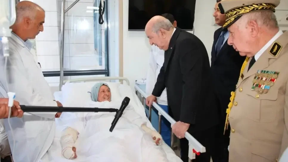 President Tebboune Orders Wildfire Origin Investigation