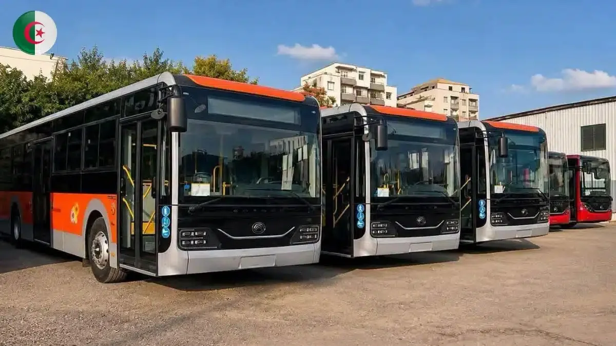 Modern Bus Fleet Renewal Benefits 16 Algerian Wilayas