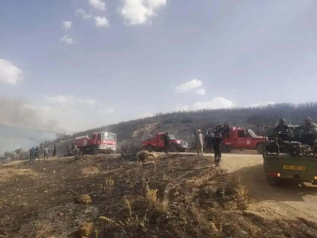 All Wildfires Fully Contained Across Algerian Provinces