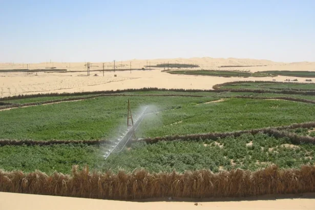 National Land Office Manages Over 4 Million Hectares for Food Security