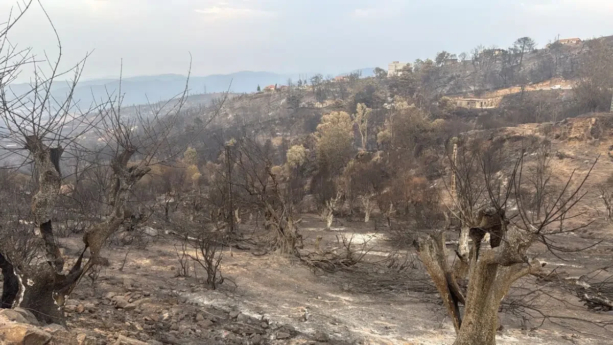 Marseille Algerians Pause Wildfire Aid Due to Massive Donations