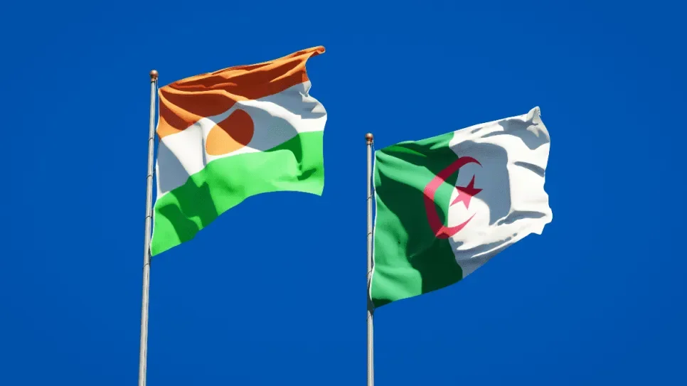 Sahel Partnership Forms Through Algeria, Niger Ties
