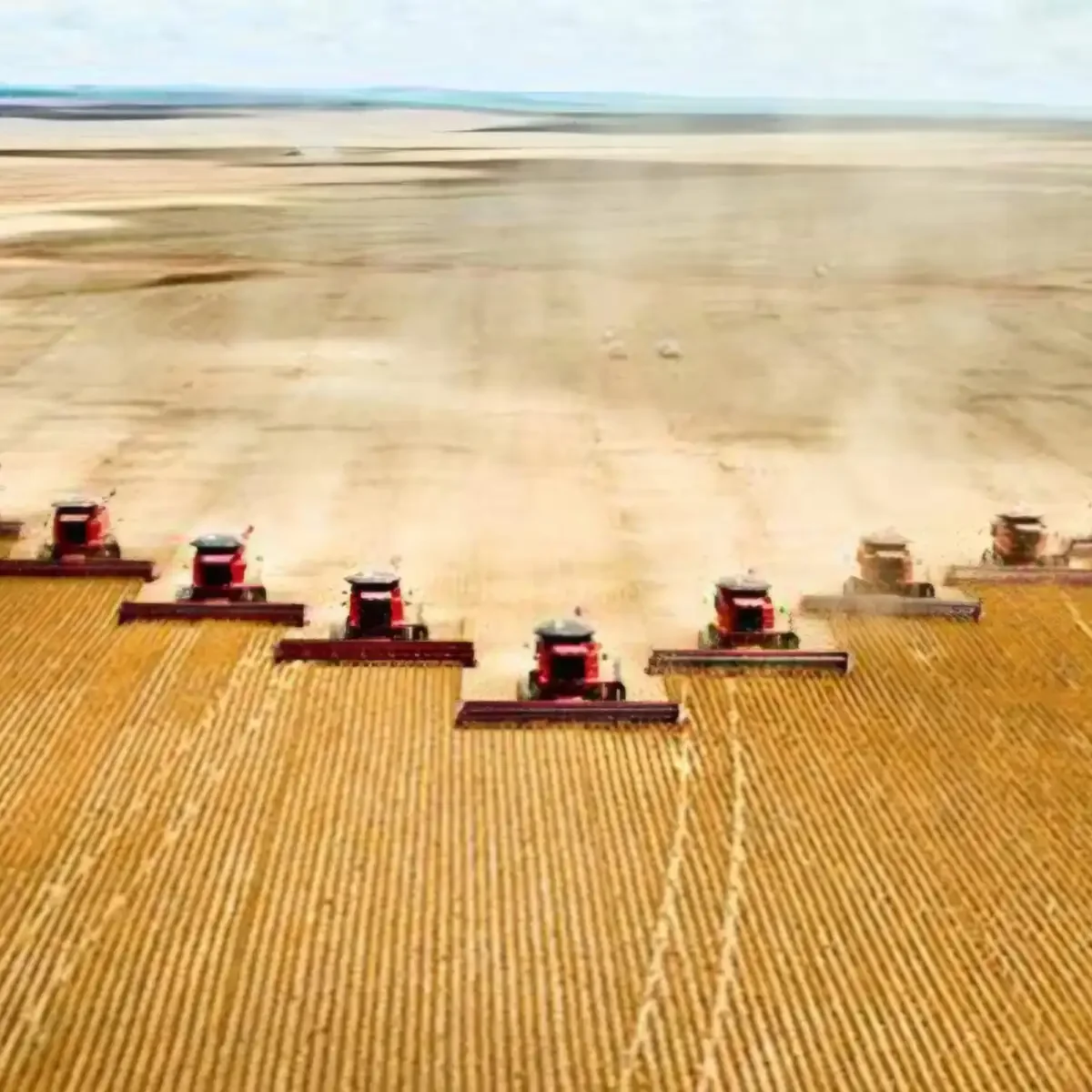 Italian Firms Target Algerian Agriculture for Investment, Development
