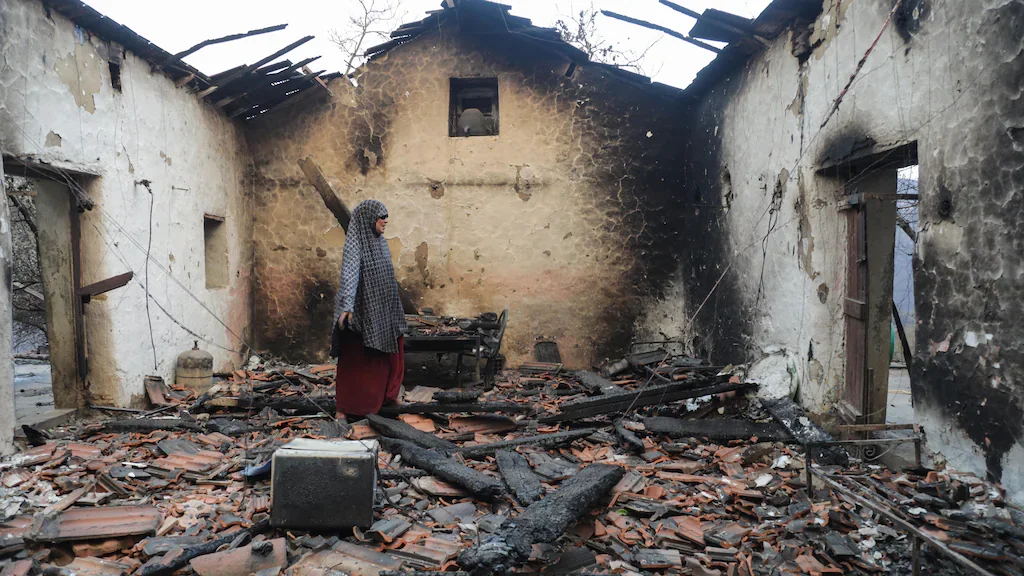 Canadian Algerians Mobilize Aid for Jijel Fire Victims