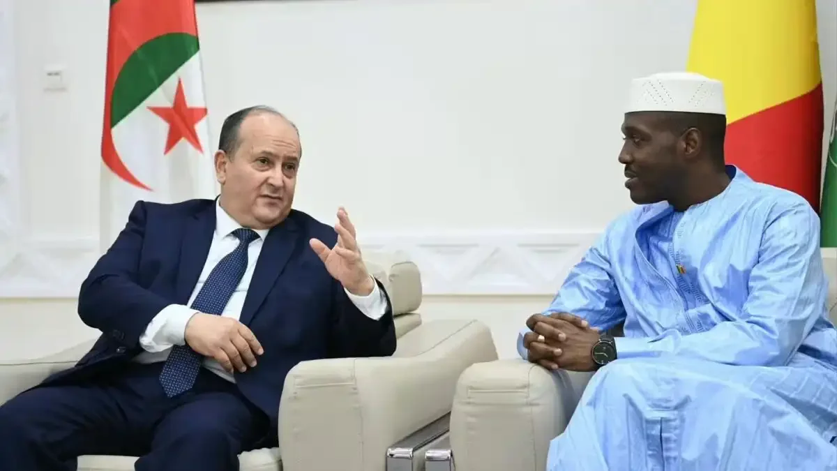 Algerian Investments Target Mali's Gold, Lithium, Agro-Industry