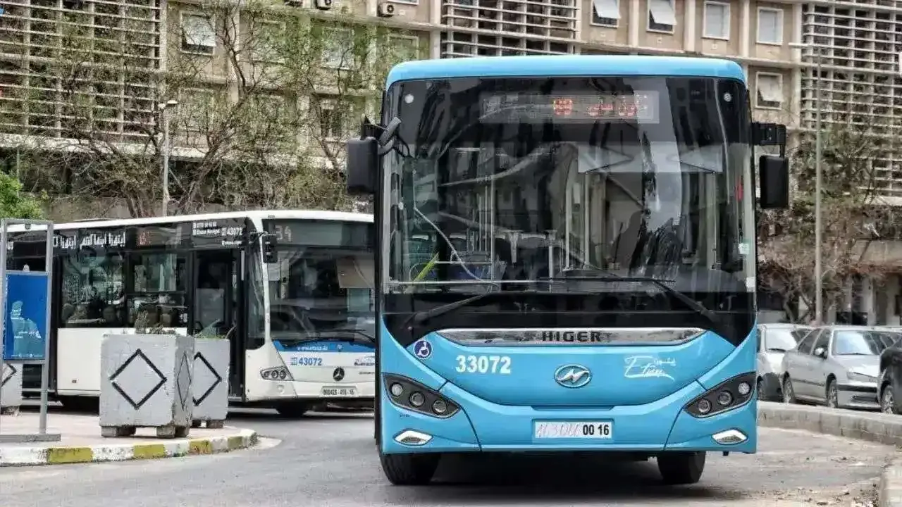 Public Transport in Algiers Expands to 245 ETUSA Routes