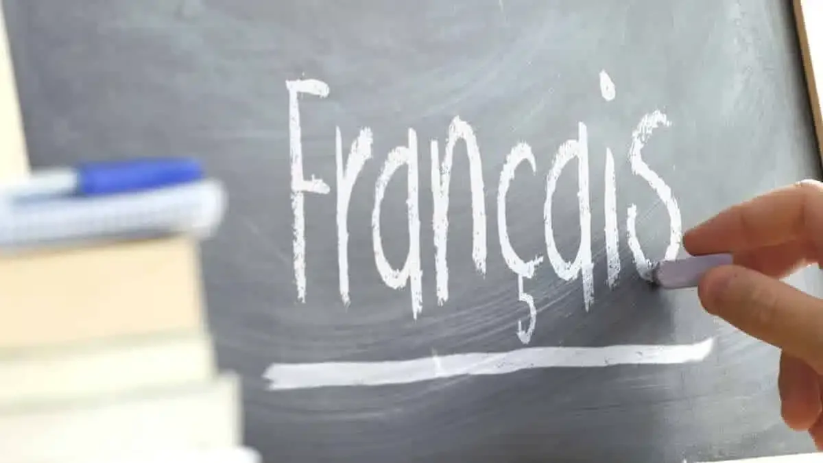 Council of Ministers Approves Primary Education Language Shift