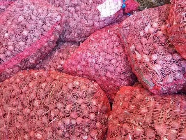 Aflou Wilaya Exceeds 133,000 Quintals Dry Onion Output