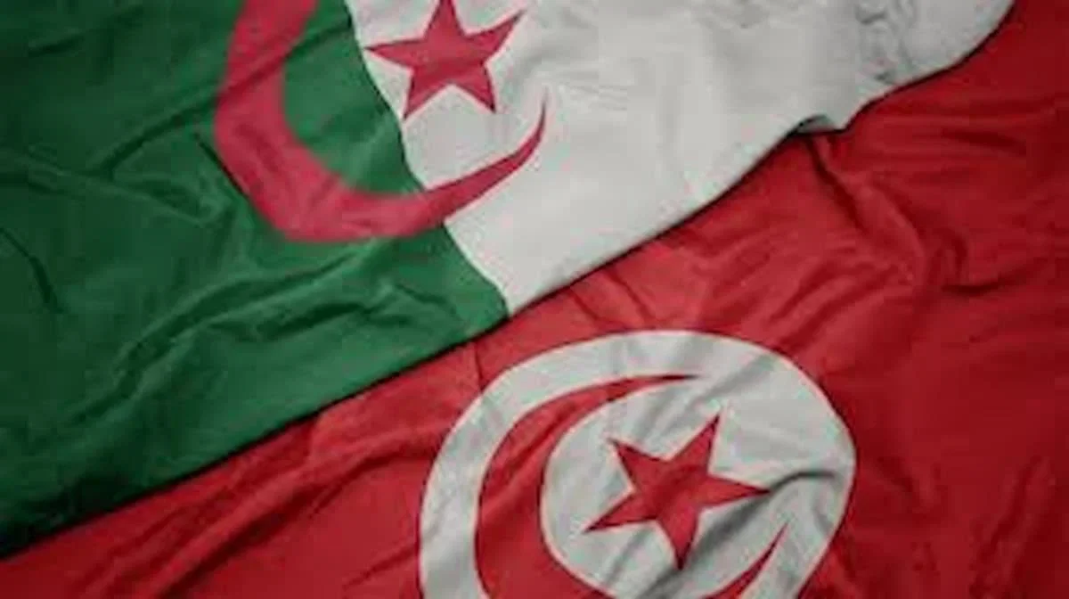 CONECT International, Algerian Patronage Plan Algiers Partnership Talks