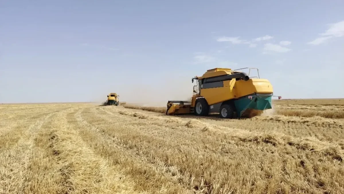 Food Sovereignty Drives Algerian Land Mapping Initiative