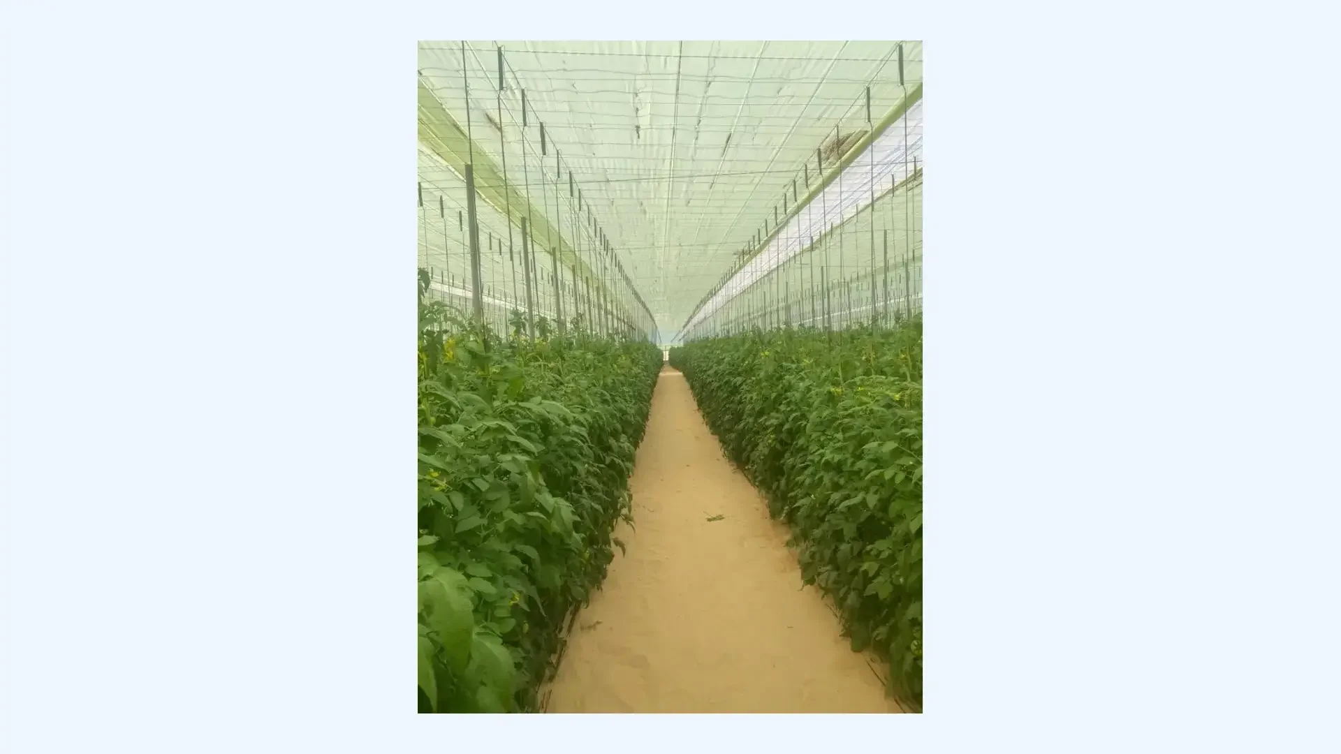 Revised Agricultural Law to Modernize Sector, Adapt to Change