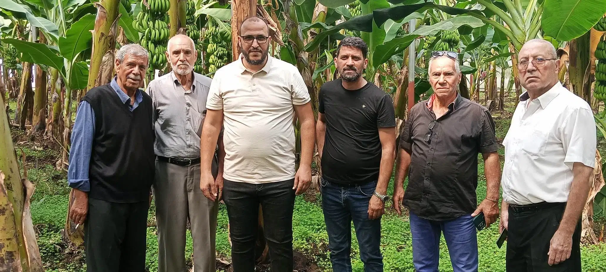 Blida Farm Achieves International Standard Banana Production