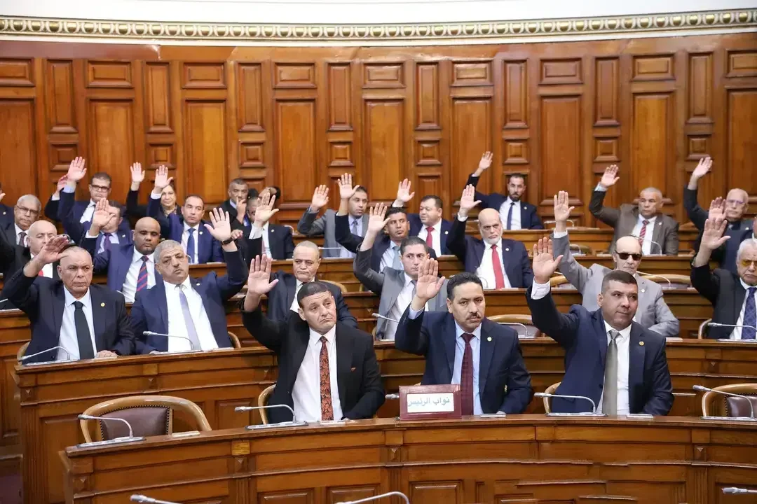 Upper House Passes Bill on Arson, Child Abduction Penalties