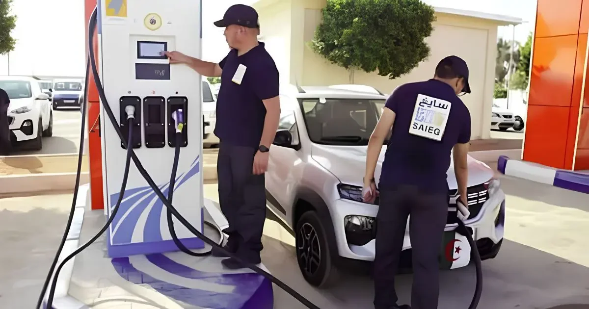 El Eulma Plant Exports Electric Vehicle Chargers to Europe