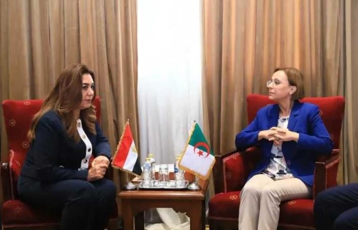 Egypt, Algeria Discuss Environmental Initiatives, Park Project