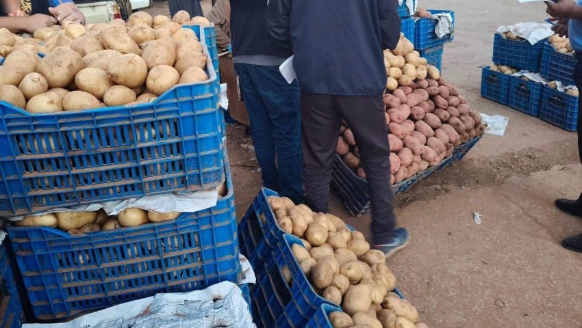 Government Sets Potato Price Ceilings to Aid Consumers