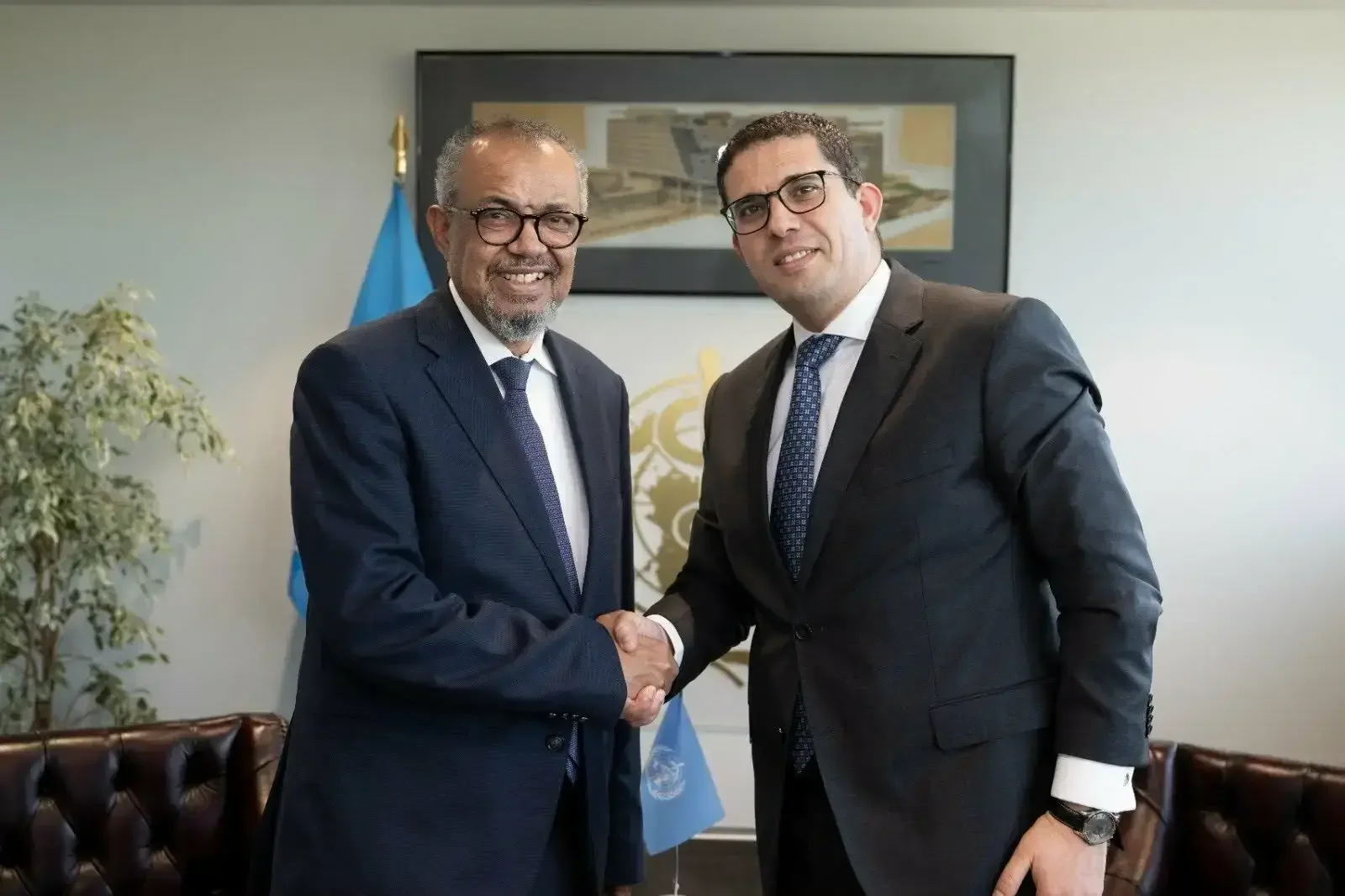 UN Health Agency Hails Algeria's Role in Pandemic Pact, Local Medicines