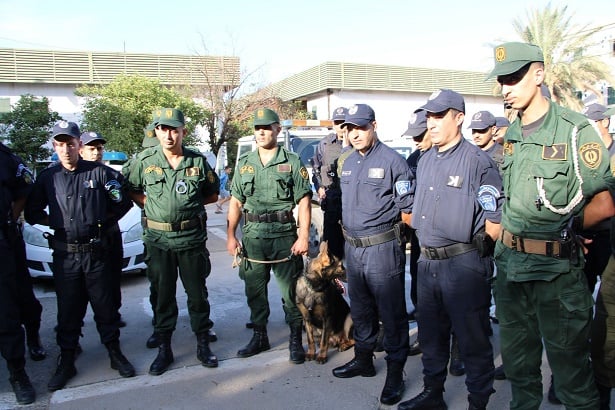 Joint Force Combats Crime in Mouzaïa, El Affroun