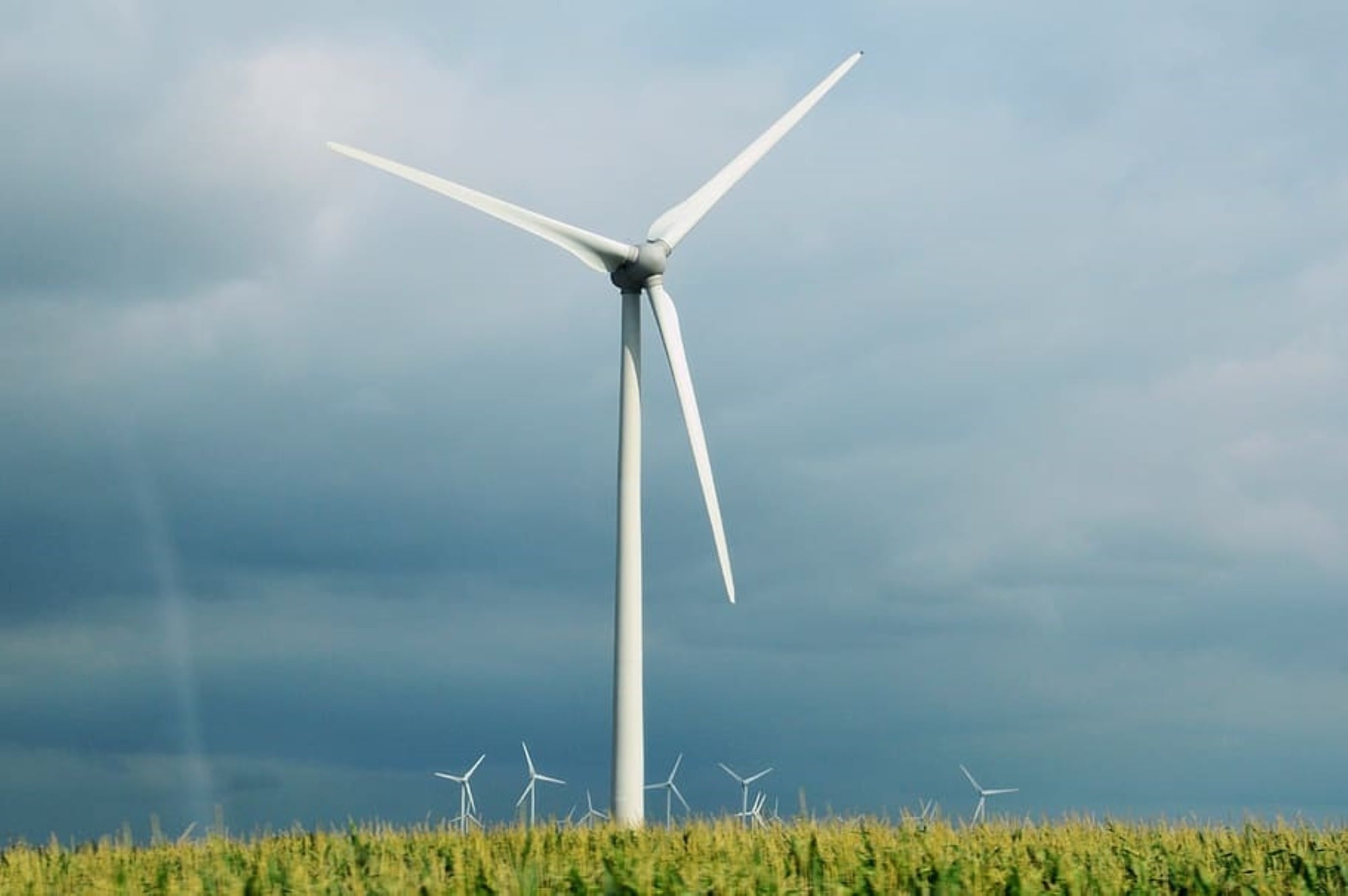 Tender Issued for Two 100MW Wind Farms in Algeria
