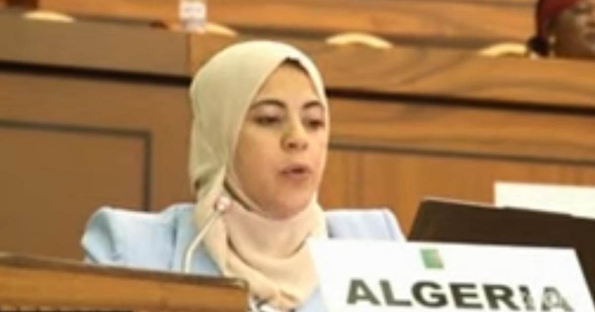 African Commission Urged to Probe Western Sahara Rights by Algeria