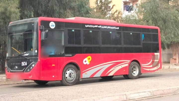 Algiers Directorate Reinforces Public Transport with 10 New Buses