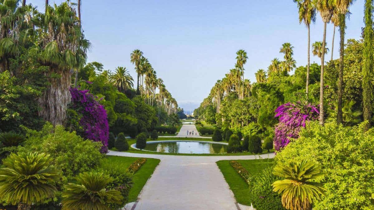American Tourist Vows Return After Algerian Visit