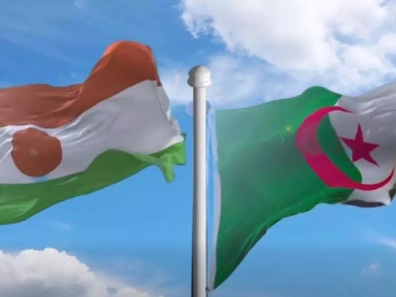Niger and Algeria Sign Audiovisual Regulation Accord
