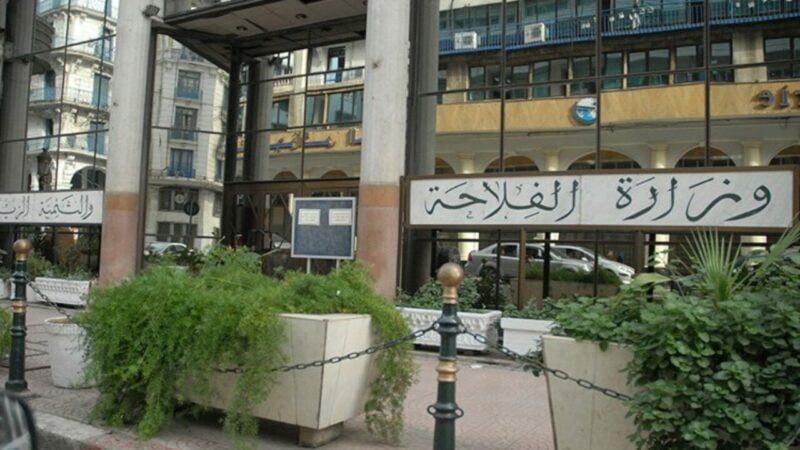 Innovation Key to Algeria's Future Food Systems, Ministry Affirms