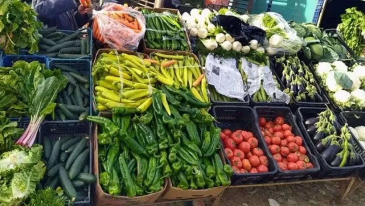 Farmers Receive New Package of Financial and Tax Support