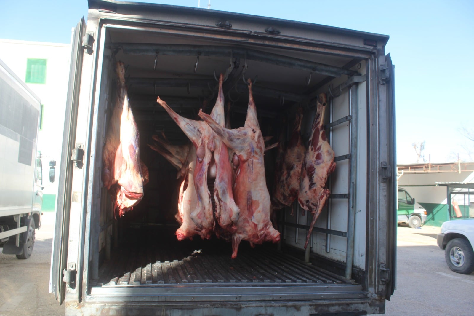 Tebboune Mandates Probe into Meat Prices, Brokerage Control