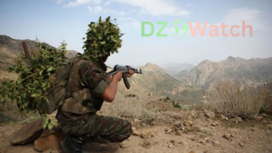 The Algerian National Army (ANP) conducted a series of operations from August 2 to 8, 2023, that resulted in the seizure of weapons and the arrest of terrorists.