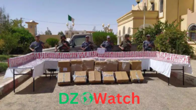 Drugs and weapons seized in Algeria