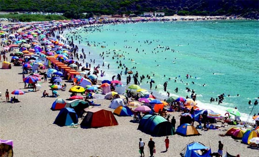 Summer Camps in Algeria